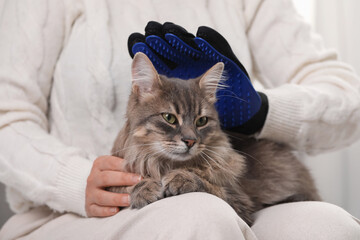 Woman brushing her cat with grooming glove indoors, closeup