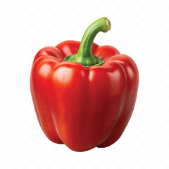 realistic 3d bell pepper or capsicum in red, green and red color style isolated on transparent background