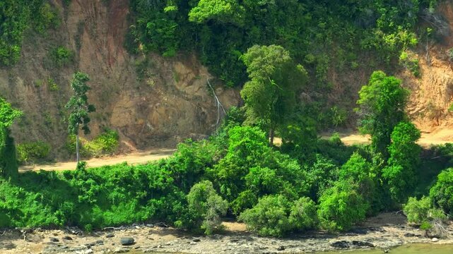 The deforestation&rsquo;s impact, with the once dense forest now cleared, contributing to soil erosion, loss of biodiversity, and an increase in global warming due to decreased carbon absorption.
