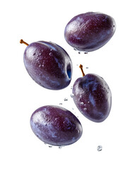 Four ripe plums floating in the air. Transparent background. 