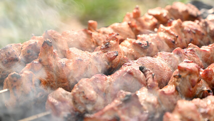 Pork skewers roast on glowing coals, with fragrant smoke rising around them. Real-time grilling enhances the texture. Great for food commercials, menus, summer cooking ads, or restaurant media.