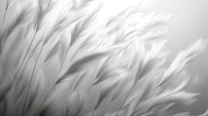 Elegant white feather display in soft light