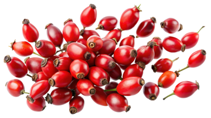 A Pile of Ripe Red Rosehips Isolated on Trensprent  Background png Botanical Photography