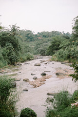 Lush river landscape with rocks and foliage in Ubud, Bali, Indonesia