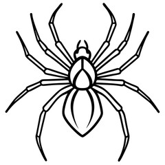 Elegant One-Line Black Widow Spider Illustration