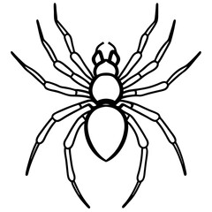 Elegant One-Line Black Widow Spider Illustration
