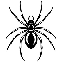 Elegant One-Line Black Widow Spider Illustration
