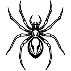 Elegant One-Line Black Widow Spider Illustration