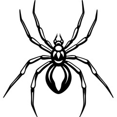 Elegant One-Line Black Widow Spider Illustration
