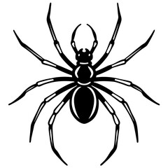 Elegant One-Line Black Widow Spider Illustration