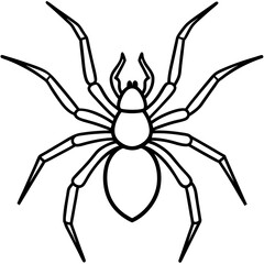 Elegant One-Line Black Widow Spider Illustration