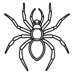 Elegant One-Line Black Widow Spider Illustration