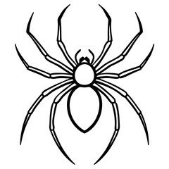 Elegant One-Line Black Widow Spider Illustration