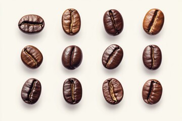 Coffee bean graphics for culinary creatives and beverage enthusiasts seeking unique design inspiration