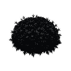 Green Moss Isolated White vector illustration