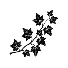 Green Ivy Branch on White vector illustration