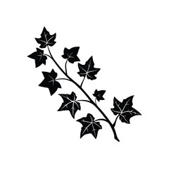 Ivy Plant Isolated Green vector illustration