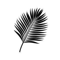 Tropical Palm Leaf Design vector illustration