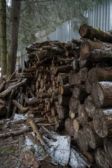 logs stacked on top of each other along a steel fence