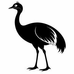 Black Cassowary Silhouette Illustration