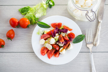 Fresh vegetables and mozzarella cheese in a plate