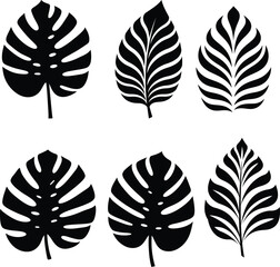 Fototapeta premium Collection of Tropical Leaf Silhouettes