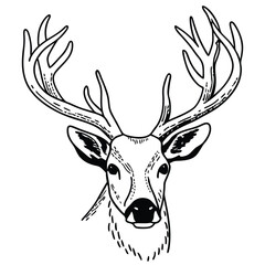 Naklejka premium a-deer-head-vector-image