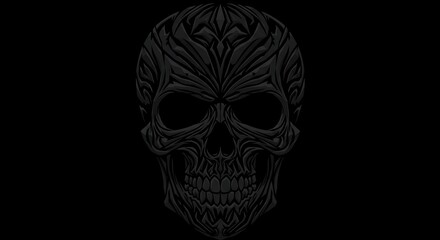 human skull isolated on black