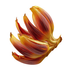 Abstract Close-up of Vibrant Red and Orange Banana Blossom