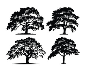 Minimal Hornbeam Tree Silhouette Collection Vector Template