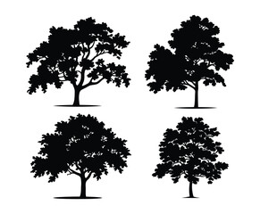 Vintage Hornbeam Tree Silhouette Template Set