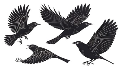 bird design