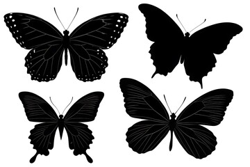set of butterflies  design