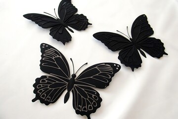 black and white butterfly