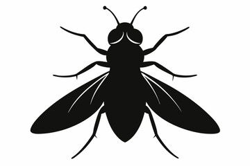 Housefly Silhouette Vector Illustration
