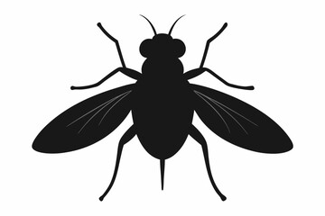 Housefly Silhouette Vector Illustration
