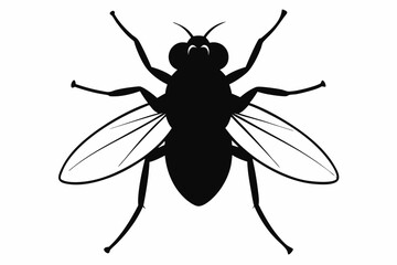 Housefly Silhouette Vector Illustration
