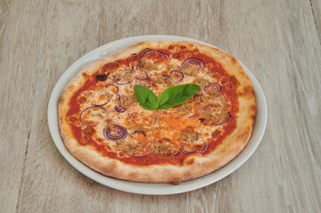 A pizza with onions and basil on top