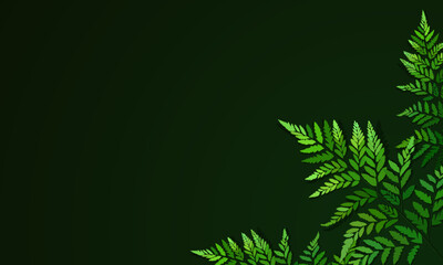 Tropical green leaves dark green background. natural decorative border frame with copy space. elegant nature banner.