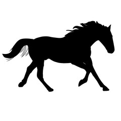 Silhouette horse vector
