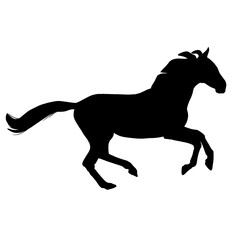 Fototapeta premium Silhouette black horse running