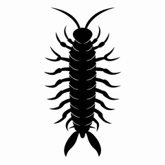 Centipede Silhouette Vector Icon