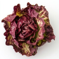 Obraz premium Close Up Of Fresh Red And Green Lettuce On White Backgrounds