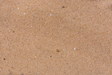 Texture of the wet sand for background