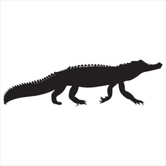 Obraz premium Silhouette of a crocodile on a white background