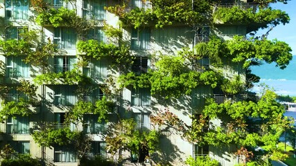 Green vegetation enveloping contemporary architectural facade, representing eco friendly urban design integrating natural elements with modern structural planning