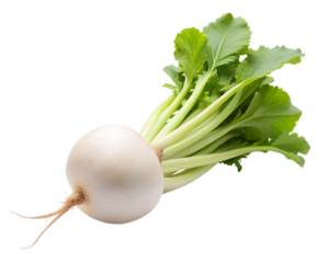 bunch of fresh green onions