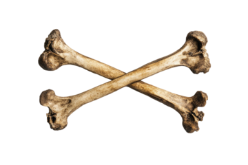 Crossed Bones on a Dark Background, Ideal for Halloween or Gothic Themes on transparent background