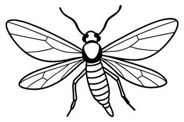 Mayfly Vector Illustration