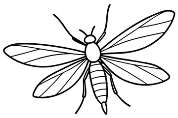 Mayfly Vector Illustration